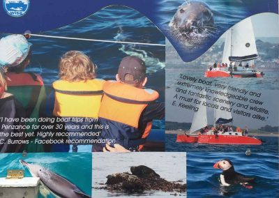 Take a boat trip, see seals, dolphins, basking sharks
